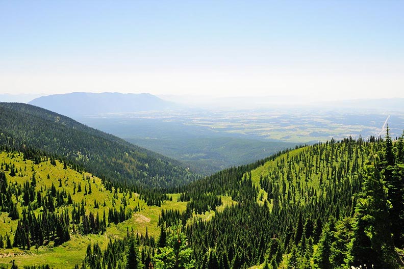 Montana Property That Borders Public Land For Sale