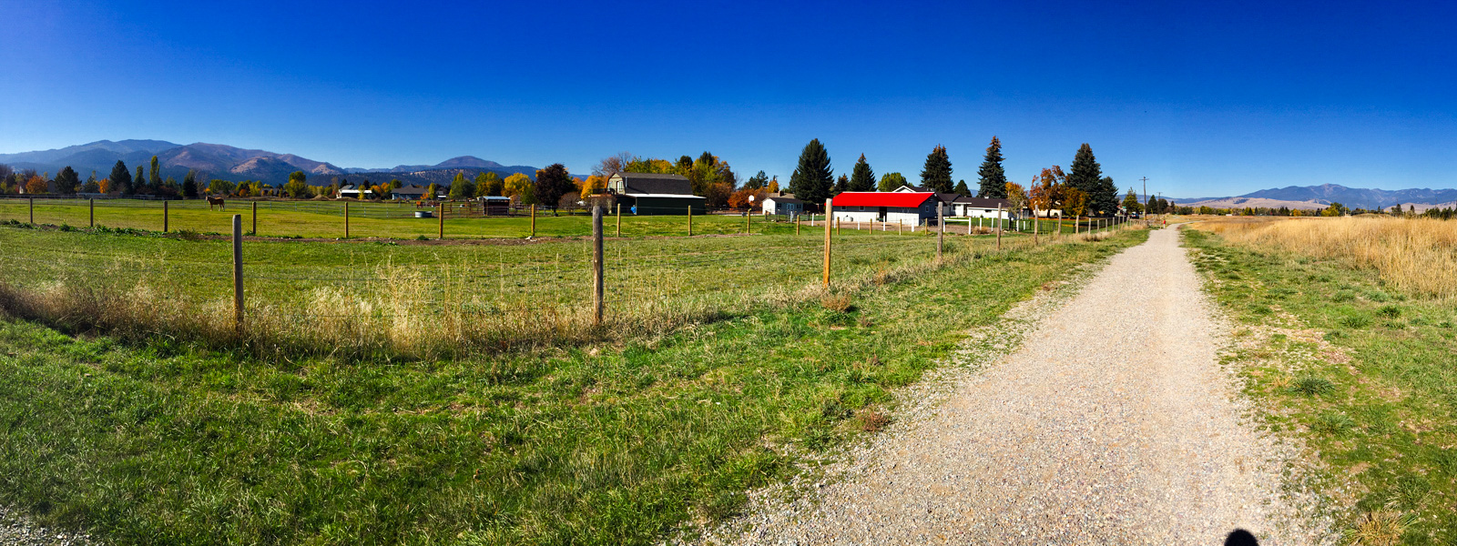 ranching picture