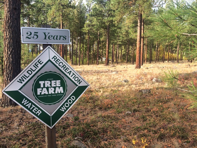 tree farming